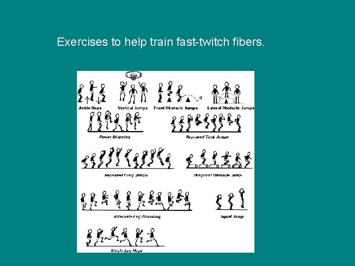 Exercises to help train fast-twitch fibers. 