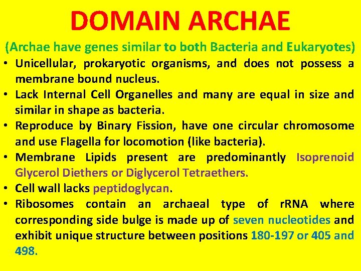 DOMAIN ARCHAE (Archae have genes similar to both Bacteria and Eukaryotes) • Unicellular, prokaryotic