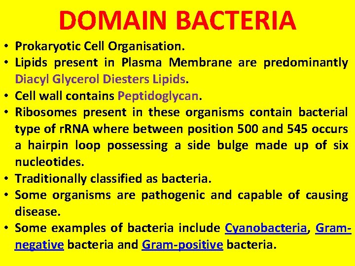 DOMAIN BACTERIA • Prokaryotic Cell Organisation. • Lipids present in Plasma Membrane are predominantly