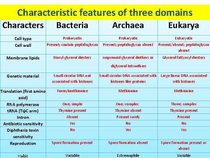 Characteristic features of three domains Characters Bacteria Archaea Eukarya Cell type Cell wall Prokaryotic