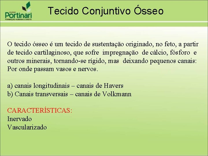 Tecido Conjuntivo Ósseo O tecido ósseo é um tecido de sustentação originado, no feto,