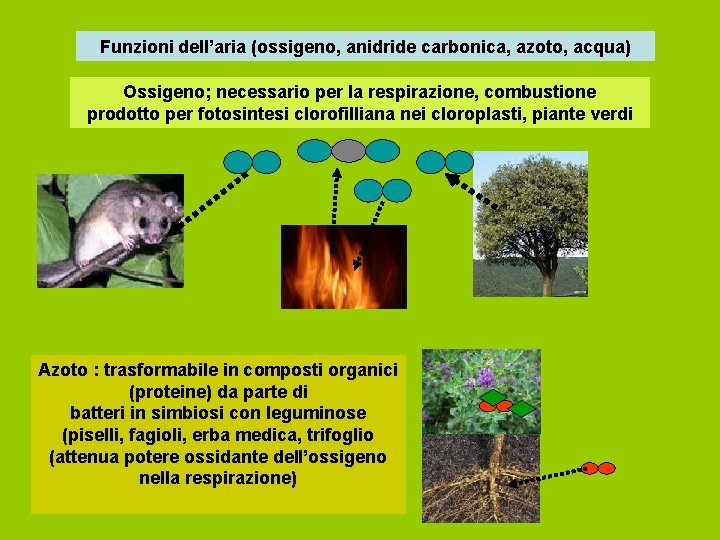 Funzioni dell’aria (ossigeno, anidride carbonica, azoto, acqua) Ossigeno; necessario per la respirazione, combustione prodotto