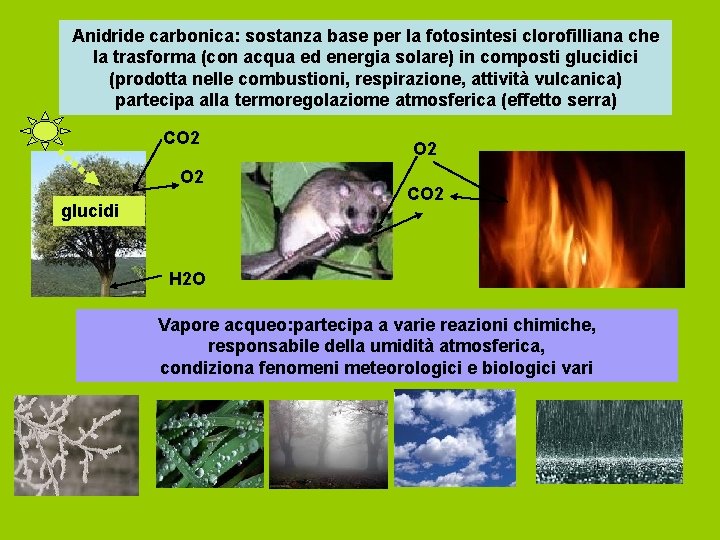 Anidride carbonica: sostanza base per la fotosintesi clorofilliana che la trasforma (con acqua ed