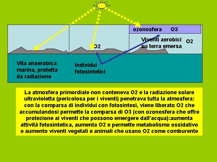 ozonosfera O 2 Vita anaerobica marina, protetta da radiazione O 3 Viventi aerobici O