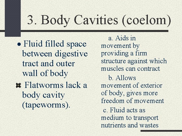 3. Body Cavities (coelom) · Fluid filled space between digestive tract and outer wall