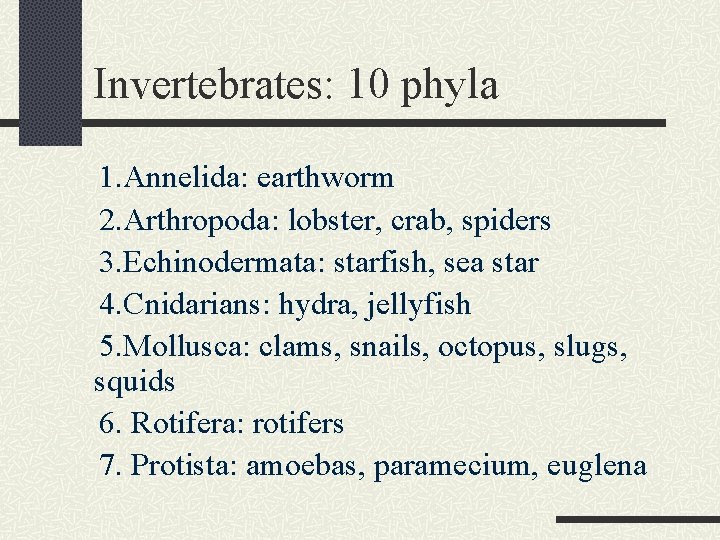 Invertebrates: 10 phyla 1. Annelida: earthworm 2. Arthropoda: lobster, crab, spiders 3. Echinodermata: starfish,
