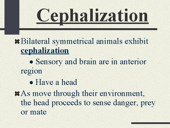 Cephalization Bilateral symmetrical animals exhibit cephalization · Sensory and brain are in anterior region
