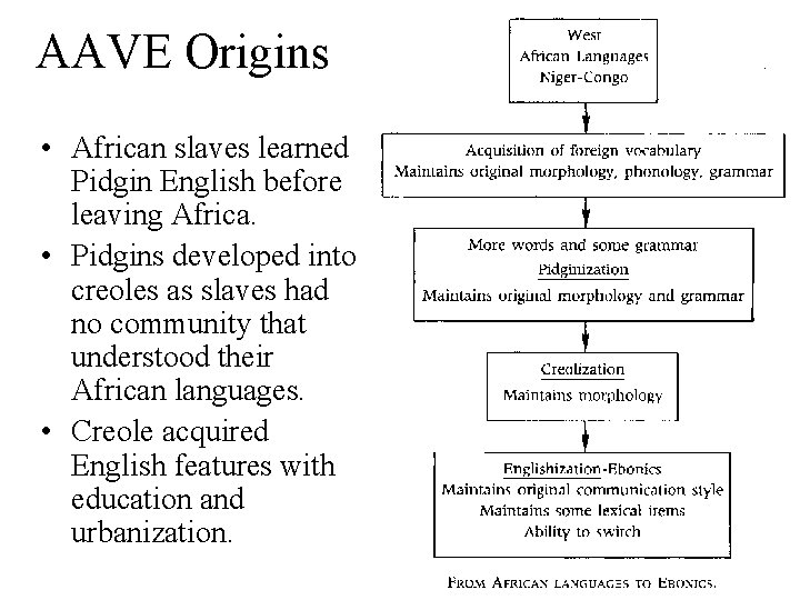 AAVE Origins • African slaves learned Pidgin English before leaving Africa. • Pidgins developed