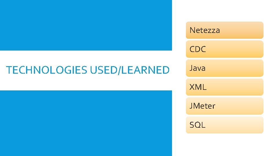 Netezza CDC TECHNOLOGIES USED/LEARNED Java XML JMeter SQL 