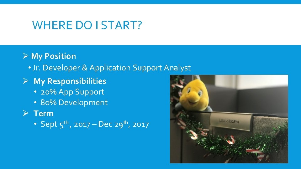 WHERE DO I START? Ø My Position • Jr. Developer & Application Support Analyst