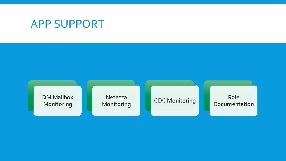 APP SUPPORT DM Mailbox Monitoring Netezza Monitoring CDC Monitoring Role Documentation 