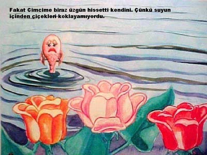 Fakat Cimcime biraz üzgün hissetti kendini. Çünkü suyun içinden çiçekleri koklayamıyordu. 