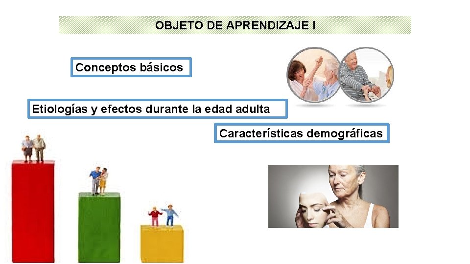 OBJETO DE APRENDIZAJE I Conceptos básicos Etiologías y efectos durante la edad adulta Características