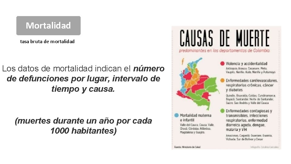 Mortalidad tasa bruta de mortalidad Los datos de mortalidad indican el número de defunciones