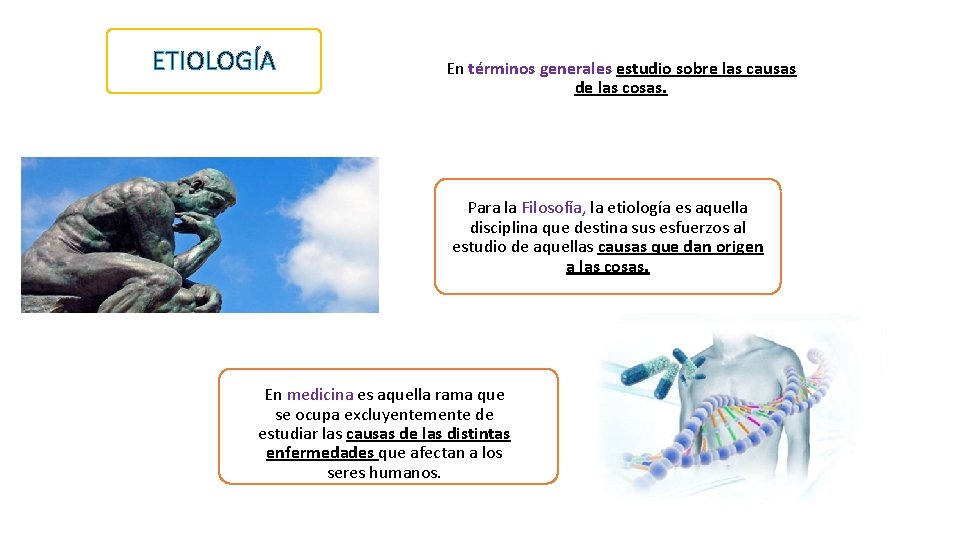 ETIOLOGÍA En términos generales estudio sobre las causas de las cosas. Para la Filosofía,