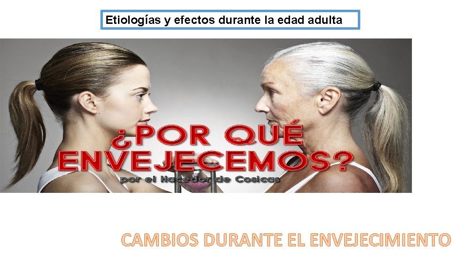 Etiologías y efectos durante la edad adulta CAMBIOS DURANTE EL ENVEJECIMIENTO 