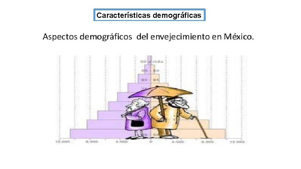 Características demográficas 