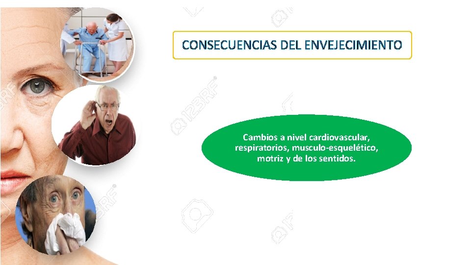 CONSECUENCIAS DEL ENVEJECIMIENTO Cambios a nivel cardiovascular, respiratorios, musculo-esquelético, motriz y de los sentidos.