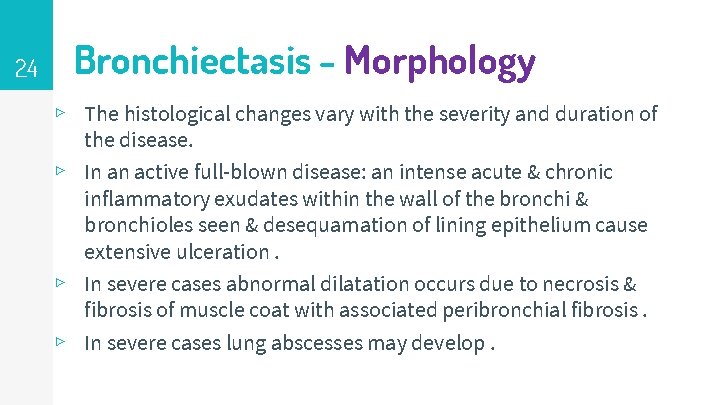 24 Bronchiectasis - Morphology ▹ The histological changes vary with the severity and duration
