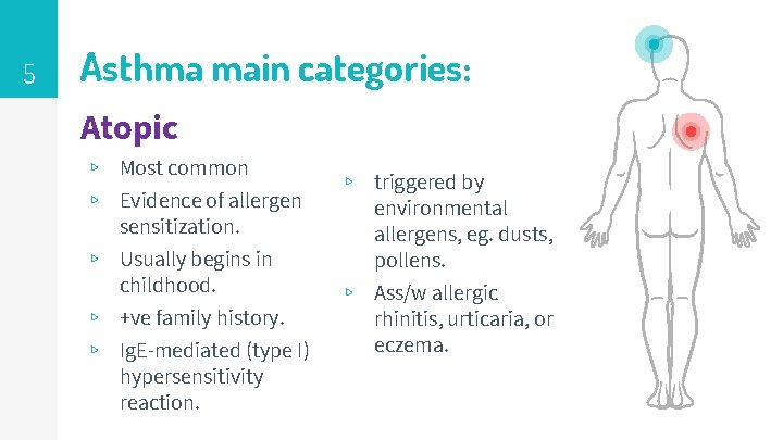 5 Asthma main categories: Atopic ▹ Most common ▹ Evidence of allergen sensitization. ▹