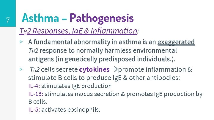 7 Asthma – Pathogenesis TH 2 Responses, Ig. E & Inflammation: ▹ A fundamental