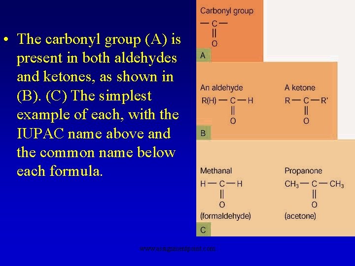  • The carbonyl group (A) is present in both aldehydes and ketones, as