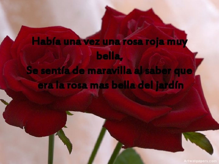 Había una vez una rosa roja muy bella, Se sentía de maravilla al saber