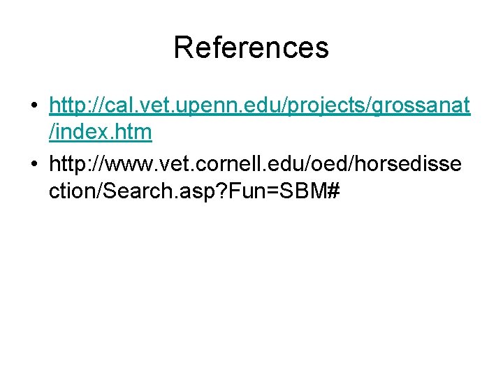 References • http: //cal. vet. upenn. edu/projects/grossanat /index. htm • http: //www. vet. cornell.
