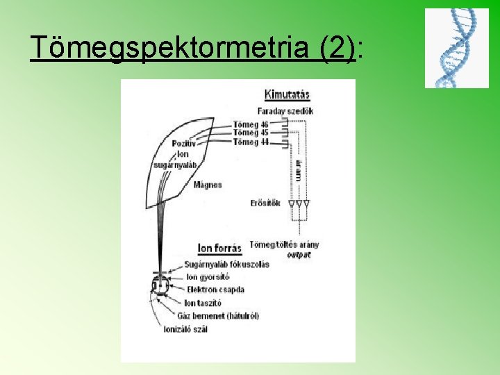 Tömegspektormetria (2): 