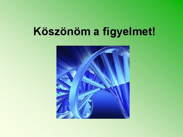 Köszönöm a figyelmet! 