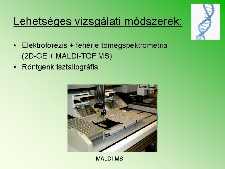 Lehetséges vizsgálati módszerek: • Elektroforézis + fehérje-tömegspektrometria (2 D-GE + MALDI-TOF MS) • Röntgenkrisztallográfia