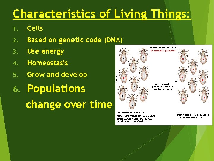 Characteristics of Living Things: 1. Cells 2. Based on genetic code (DNA) 3. Use