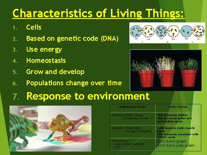 Characteristics of Living Things: 1. Cells 2. Based on genetic code (DNA) 3. Use