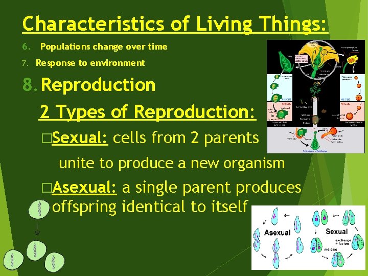 Characteristics of Living Things: 6. 7. Populations change over time Response to environment 8.