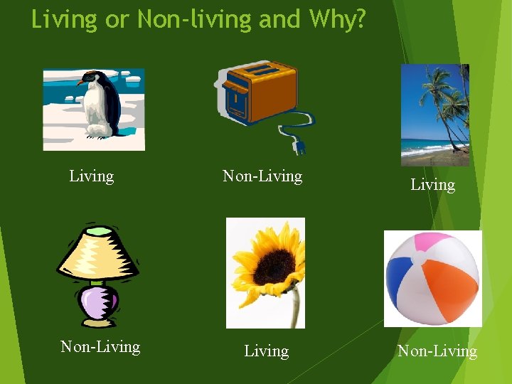 Living or Non-living and Why? Living Non-Living 