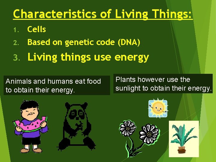 Characteristics of Living Things: 1. Cells 2. Based on genetic code (DNA) 3. Living