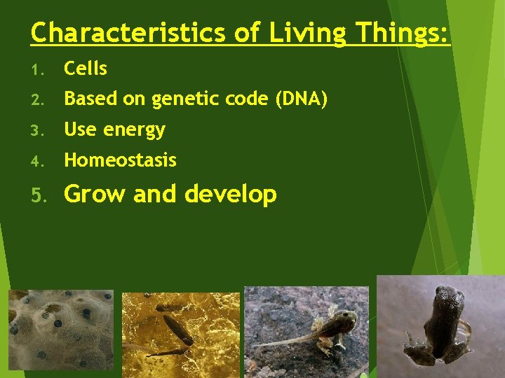 Characteristics of Living Things: 1. Cells 2. Based on genetic code (DNA) 3. Use