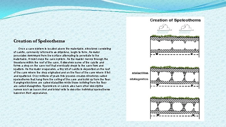 Creation of Speleothems Once a cave system is located above the watertable, structures consisting