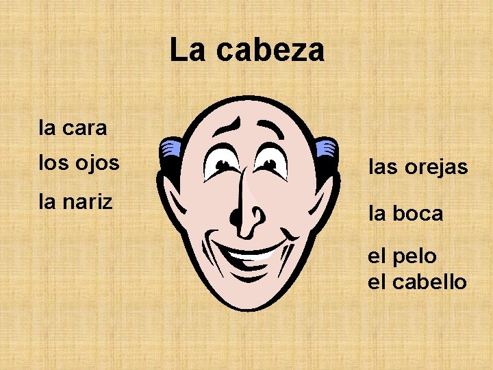 La cabeza la cara los ojos la nariz las orejas la boca el pelo