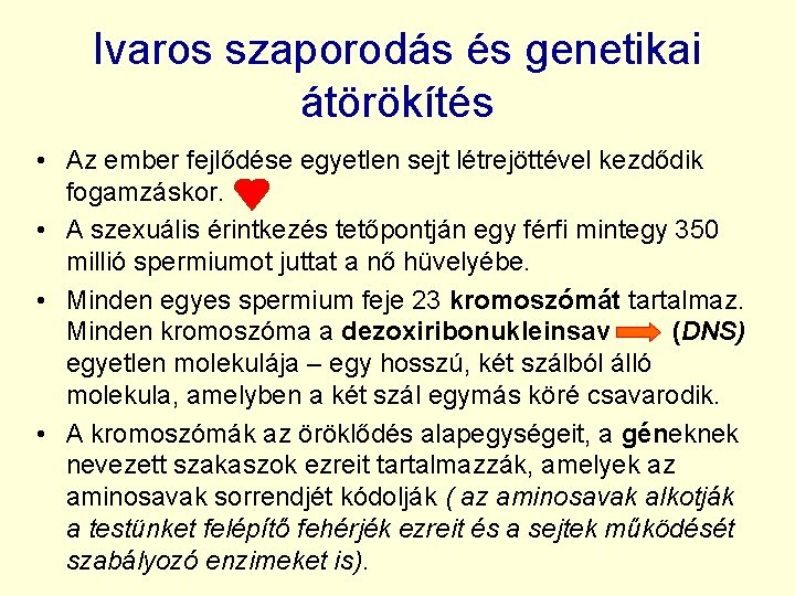 Ivaros szaporodás és genetikai átörökítés • Az ember fejlődése egyetlen sejt létrejöttével kezdődik fogamzáskor.