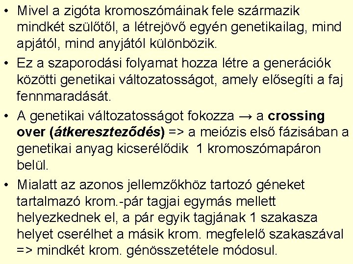  • Mivel a zigóta kromoszómáinak fele származik mindkét szülőtől, a létrejövő egyén genetikailag,