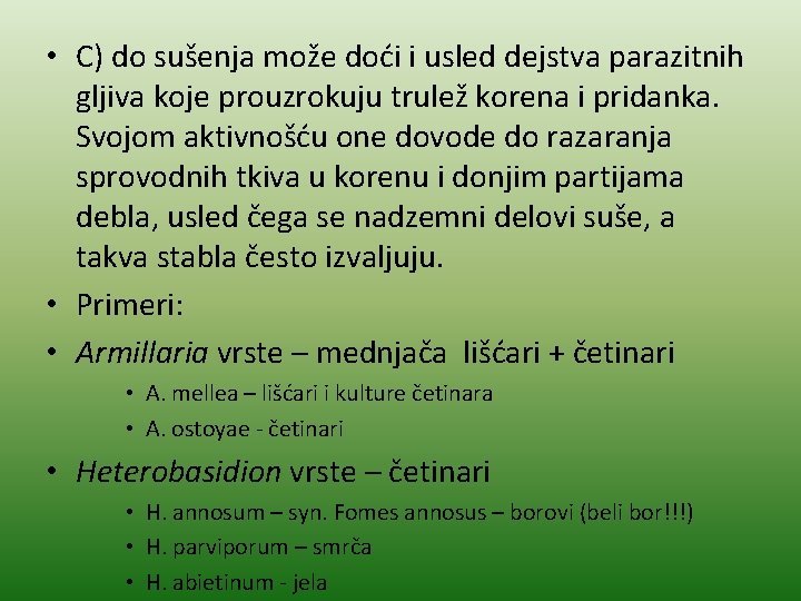  • C) do sušenja može doći i usled dejstva parazitnih gljiva koje prouzrokuju