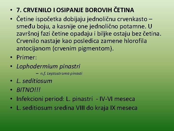  • 7. CRVENILO I OSIPANJE BOROVIH ČETINA • Četine ispočetka dobijaju jednoličnu crvenkasto