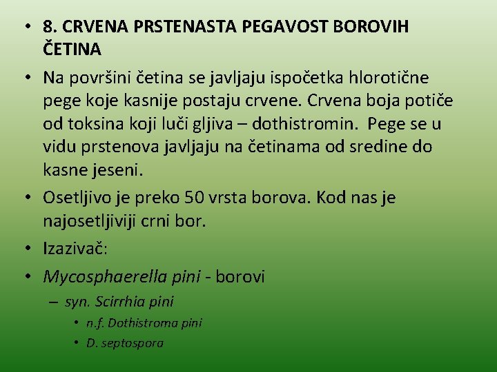  • 8. CRVENA PRSTENASTA PEGAVOST BOROVIH ČETINA • Na površini četina se javljaju