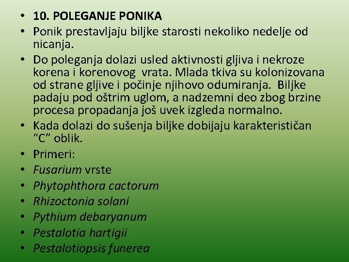  • 10. POLEGANJE PONIKA • Ponik prestavljaju biljke starosti nekoliko nedelje od nicanja.