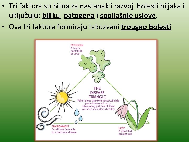  • Tri faktora su bitna za nastanak i razvoj bolesti biljaka i uključuju: