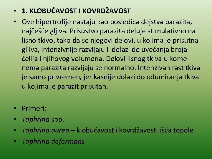  • 1. KLOBUČAVOST I KOVRDŽAVOST • Ove hipertrofije nastaju kao posledica dejstva parazita,