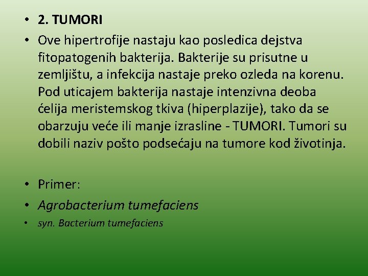  • 2. TUMORI • Ove hipertrofije nastaju kao posledica dejstva fitopatogenih bakterija. Bakterije