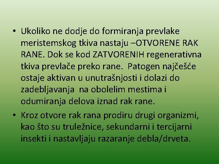  • Ukoliko ne dodje do formiranja prevlake meristemskog tkiva nastaju –OTVORENE RAK RANE.