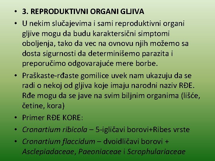  • 3. REPRODUKTIVNI ORGANI GLJIVA • U nekim slučajevima i sami reproduktivni organi